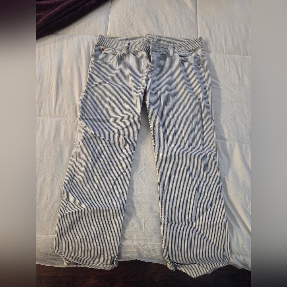 Hudson Jeans Blue and White Striped Pants